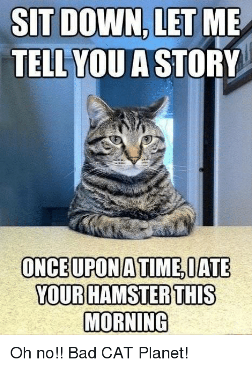 32 Memes About How Your Pet May Be An A$$hole - QuotesHumor.com