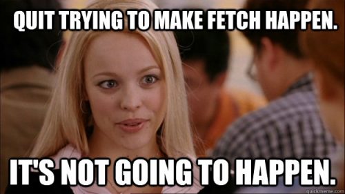 25 Mean Girl Memes That Burn - QuotesHumor.com