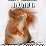 22 Animals Memes That Are Cuteness Overload - QuotesHumor.com