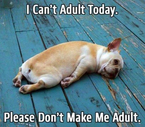 Top 24 Most Relatable Adulting Struggles - QuotesHumor.com