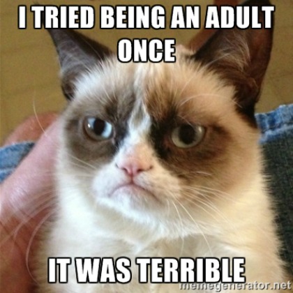 Top 24 Most Relatable Adulting Struggles - QuotesHumor.com