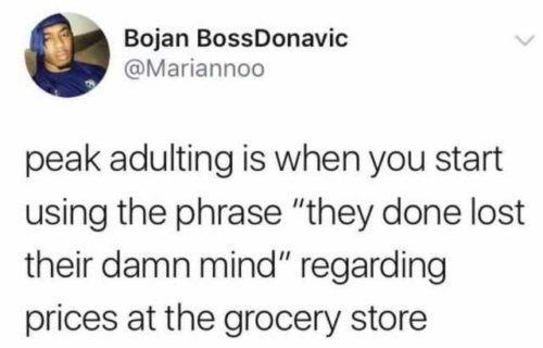 Top 24 Most Relatable Adulting Struggles - QuotesHumor.com