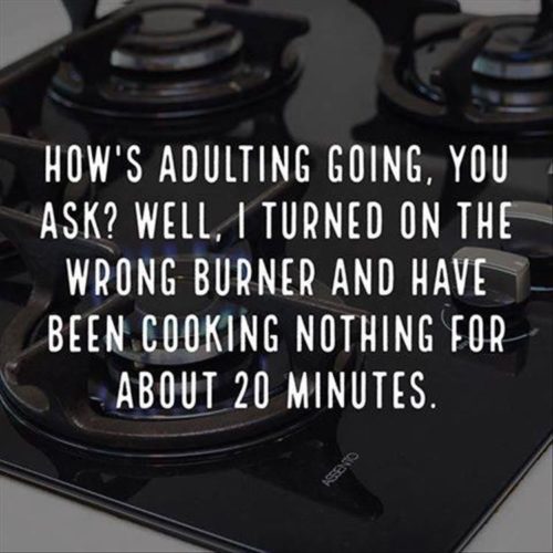 Top 24 Most Relatable Adulting Struggles - QuotesHumor.com