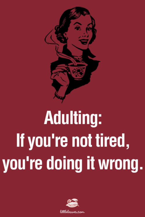 Top 24 Most Relatable Adulting Struggles - QuotesHumor.com