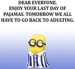 Top 24 Most Relatable Adulting Struggles - QuotesHumor.com