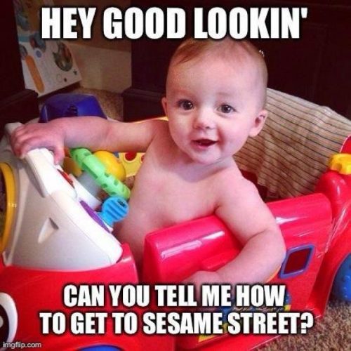 16 Most Adorably Funny Baby Memes - QuotesHumor.com
