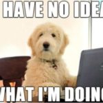 28 Hilarious Dog Memes For 2018 - QuotesHumor.com