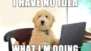 28 Hilarious Dog Memes For 2018 - QuotesHumor.com