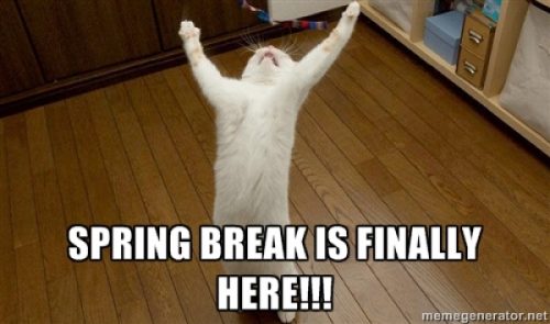 18 Memes About Spring Break 2018 - QuotesHumor.com