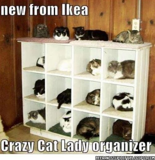 20 Relatable Memes That Capture Your Ikea Love Hate Relationship - QuotesHumor.com