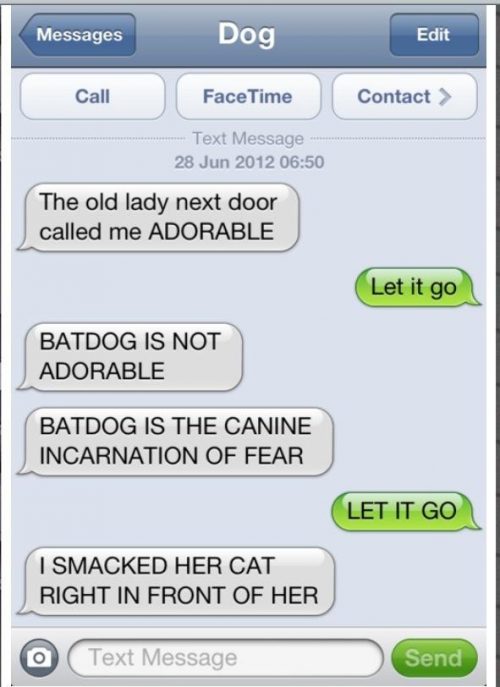 21 Most Revealing Texts From Your Dog - QuotesHumor.com