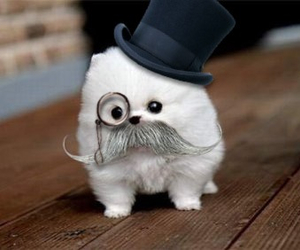 11 Pinterest Worthy Chic Animals Outfits - QuotesHumor.com