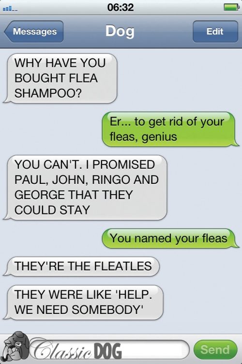 21 Most Revealing Texts From Your Dog - QuotesHumor.com