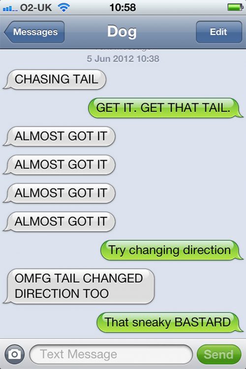 21 Most Revealing Texts From Your Dog - QuotesHumor.com