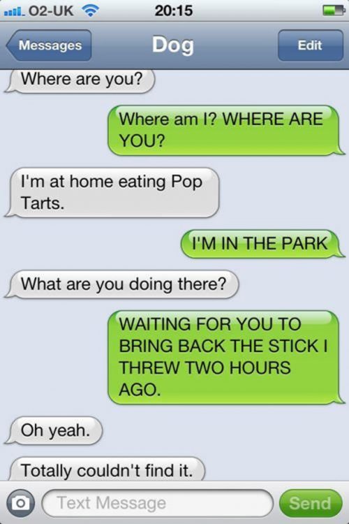 21 Most Revealing Texts From Your Dog - QuotesHumor.com