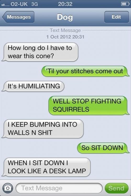 21 Most Revealing Texts From Your Dog - QuotesHumor.com