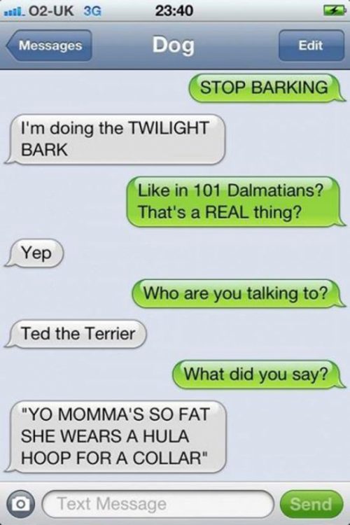 21 Most Revealing Texts From Your Dog - QuotesHumor.com