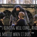 38 Best Harry Potter Quotes To Hold You Over Until The New 2018 Movie - QuotesHumor.com