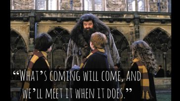 38 Best Harry Potter Quotes To Hold You Over Until The New 2018 Movie - QuotesHumor.com