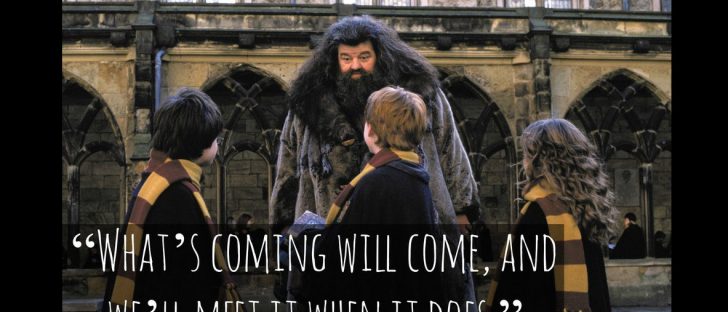 38 Best Harry Potter Quotes To Hold You Over Until The New 2018 Movie - QuotesHumor.com