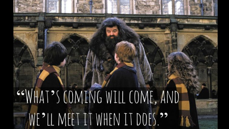 38 Best Harry Potter Quotes To Hold You Over Until The New 2018 Movie - QuotesHumor.com