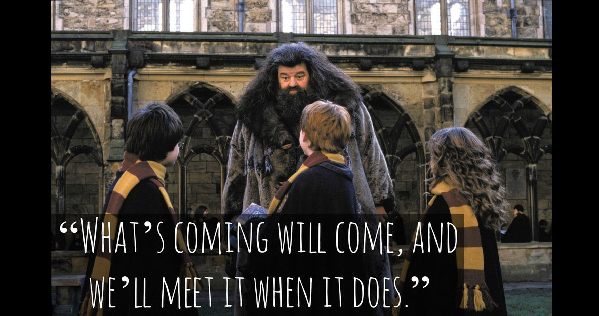 38 Best Harry Potter Quotes To Hold You Over Until The New 2018 Movie - QuotesHumor.com