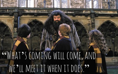 38 Best  Harry Potter Quotes  To Hold You Over Until The New 