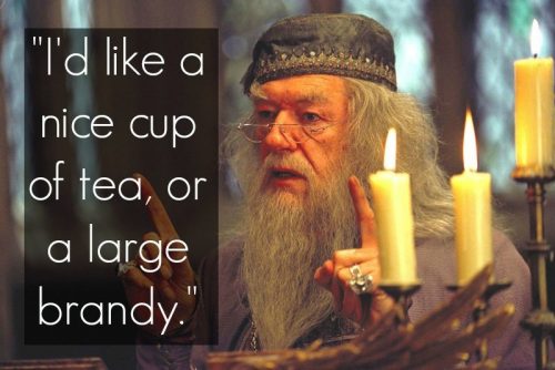 38 Best Harry Potter Quotes To Hold You Over Until The New 2018 Movie - QuotesHumor.com