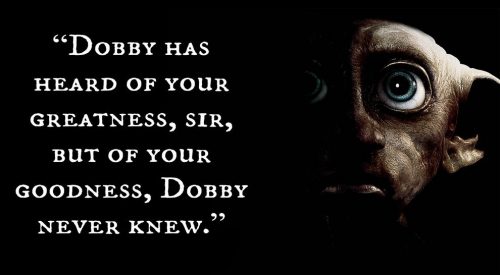 38 Best Harry Potter Quotes To Hold You Over Until The New 2018 Movie - QuotesHumor.com