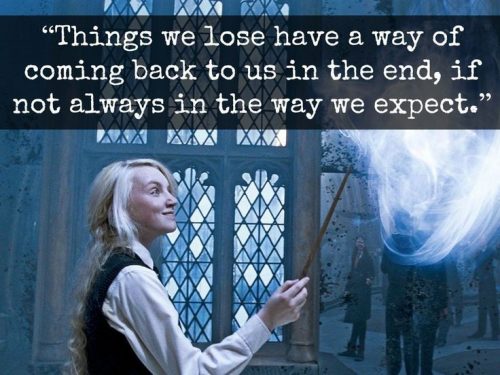 38 Best Harry Potter Quotes To Hold You Over Until The New 2018 Movie - QuotesHumor.com
