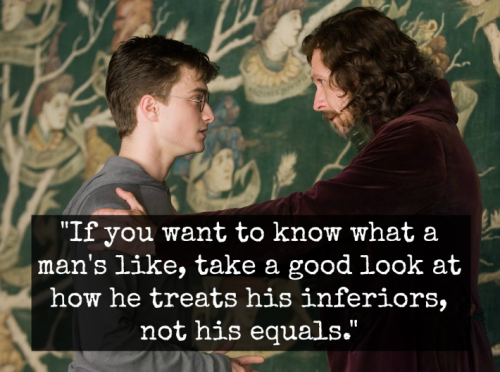 38 Best Harry Potter Quotes To Hold You Over Until The New 2018 Movie - QuotesHumor.com