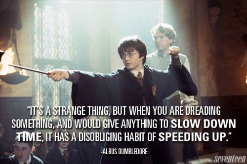 38 Best Harry Potter Quotes To Hold You Over Until The New 2018 Movie - QuotesHumor.com