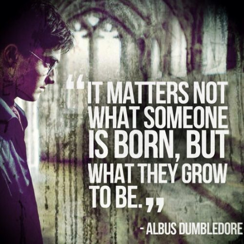38 Best Harry Potter Quotes To Hold You Over Until The New 2018 Movie - QuotesHumor.com