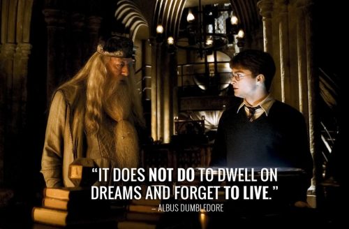 38 Best Harry Potter Quotes To Hold You Over Until The New 2018 Movie - QuotesHumor.com