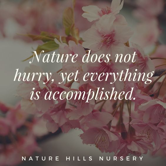 19 Best Spring Inspired Quotes | QuotesHumor.com