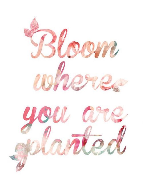 19 Best Spring Inspired Quotes - QuotesHumor.com