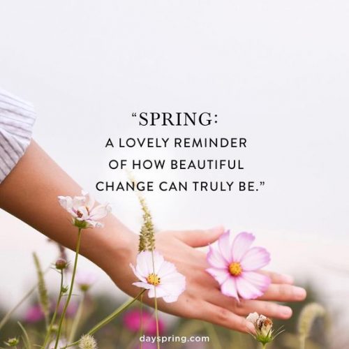 19 Best Spring Inspired Quotes - QuotesHumor.com