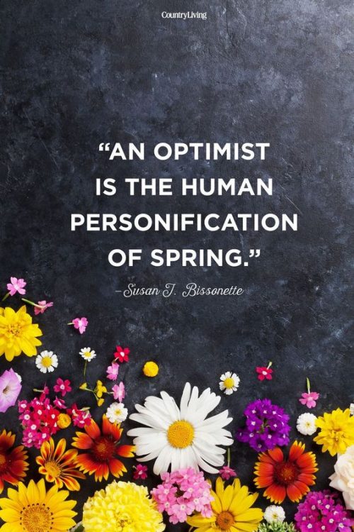19 Best Spring Inspired Quotes - QuotesHumor.com