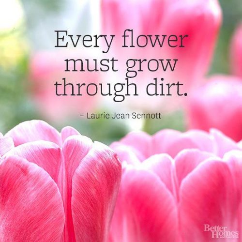 19 Best Spring Inspired Quotes | Page 3 of 4 | QuotesHumor.com
