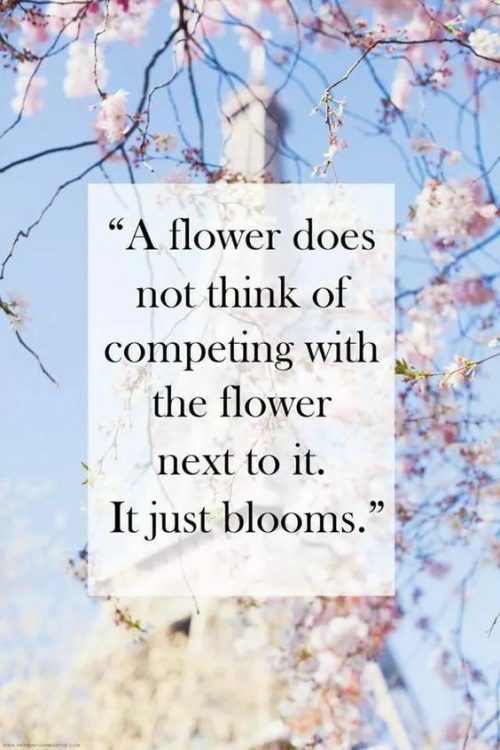 19 Best Spring Inspired Quotes - QuotesHumor.com