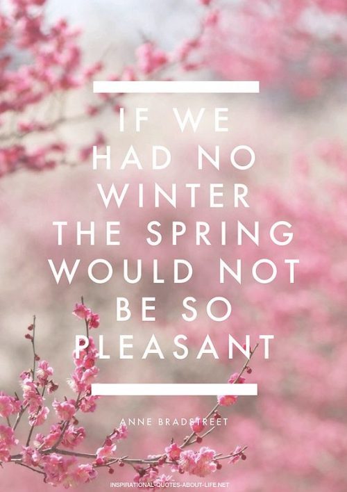 19 Best Spring Inspired Quotes - QuotesHumor.com