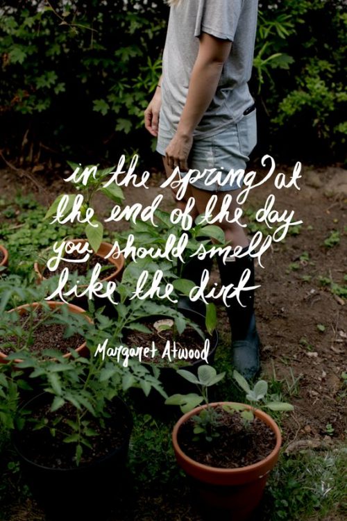 19 Best Spring Inspired Quotes - QuotesHumor.com