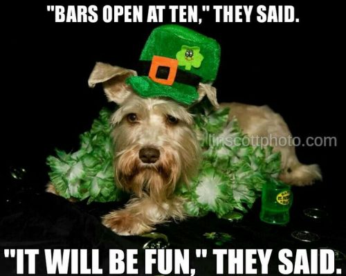 23 Hilarious 2018 St. Patrick's Day Memes That Will Bring 