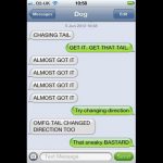 Funny Dog Texts - QuotesHumor.com
