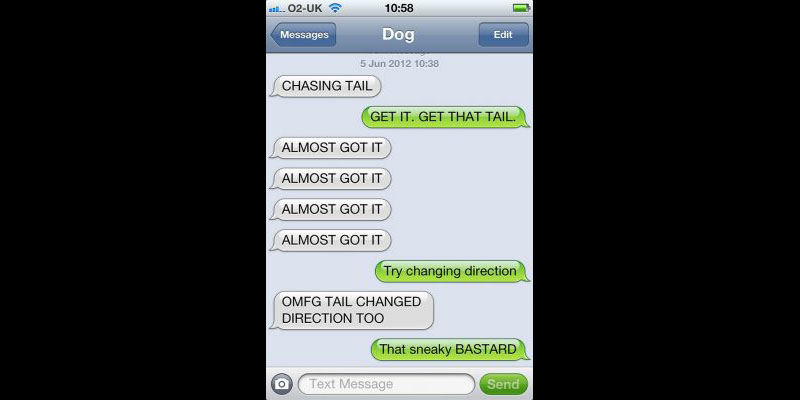 Funny Dog Texts - QuotesHumor.com