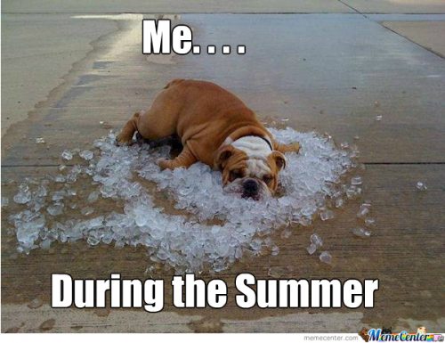 Best Summer Memes 2018 - QuotesHumor.com