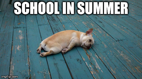 Best Summer Memes 2018 - QuotesHumor.com