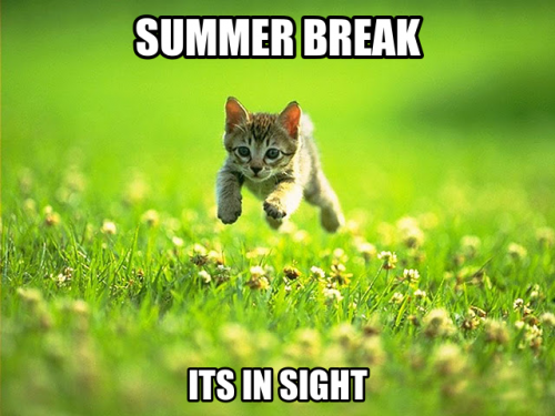 Best Summer Memes 2018 - QuotesHumor.com