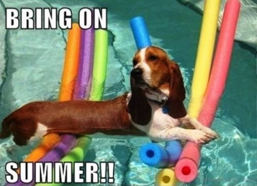 Best Summer Memes 2018 - QuotesHumor.com